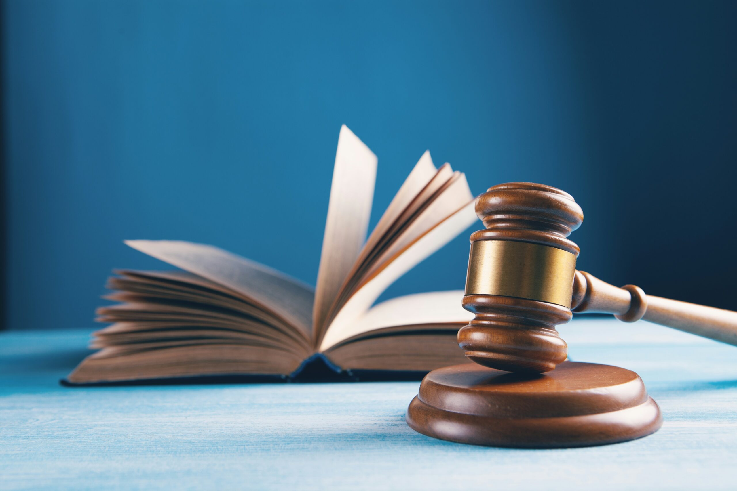 action in court civil litigation