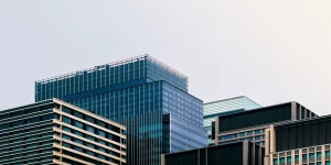 Company Is Declared Inactive