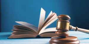 Legal Advice for Civil Litigation